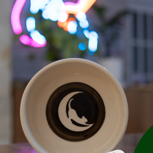 ظرف غذا