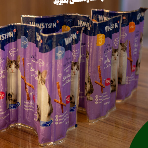 تشویقی مدادی گربه وینستون