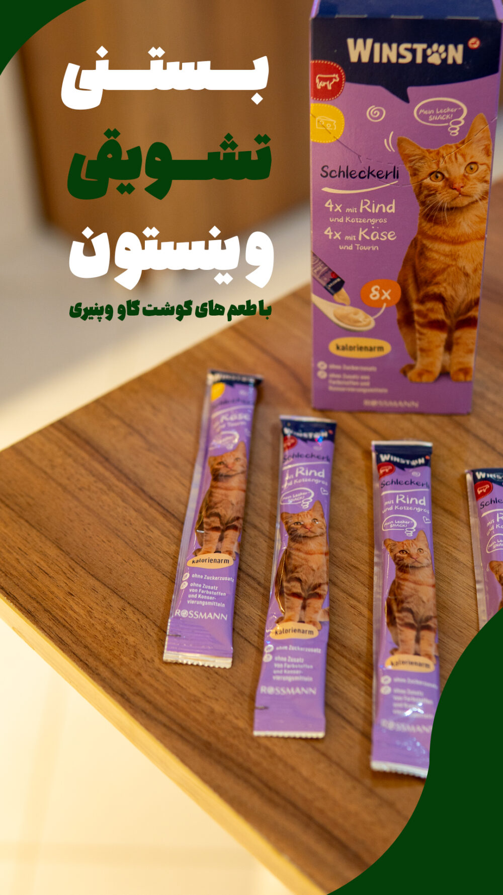 بستنی وینستون گربه