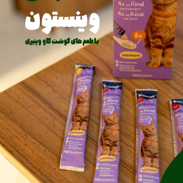 بستنی وینستون گربه