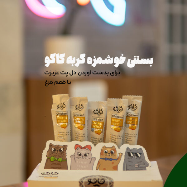 بستنی گربه